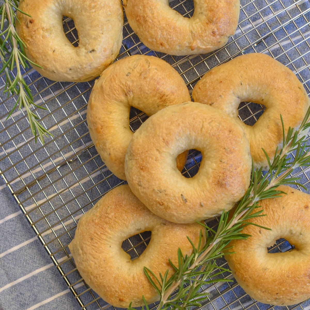 ROSEMARY + GARLIC SOURDOUGH&nbsp;BAGELS