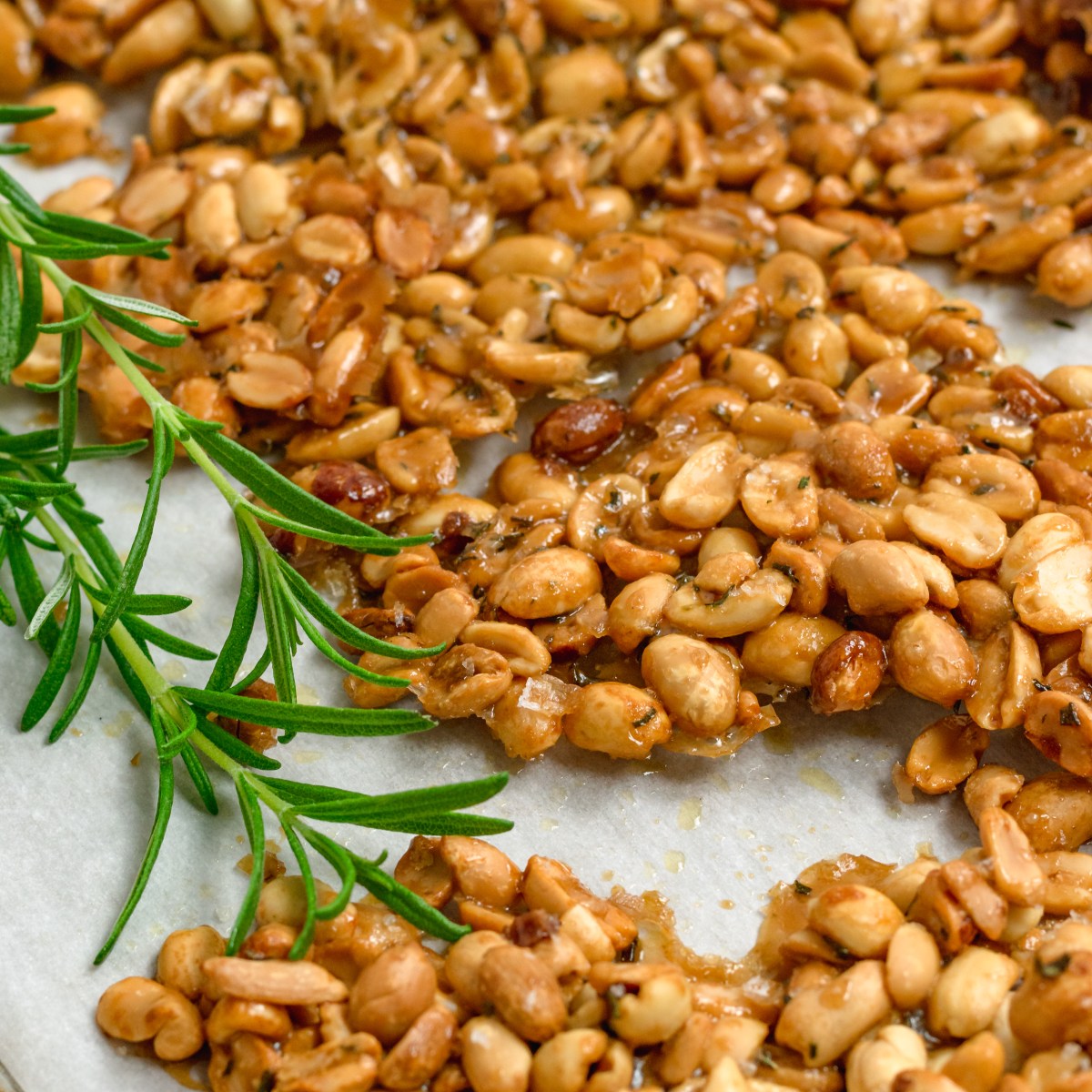 MAPLE ROSEMARY PEANUT&nbsp;BRITTLE